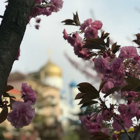 Арт квартира в центрі міста Апартаменты