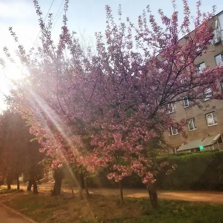 Арт Квартира В Центрі Міста Apartment *